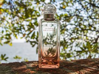 （分類：）位於 。 由 white.goose 提交（商品編號 1194913684，圖片 1）。簡介： 。