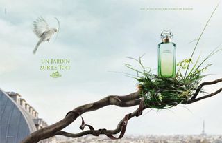 （分類：）位於 。 由 white.goose 提交（商品編號 1194915096，圖片 1）。簡介： 。