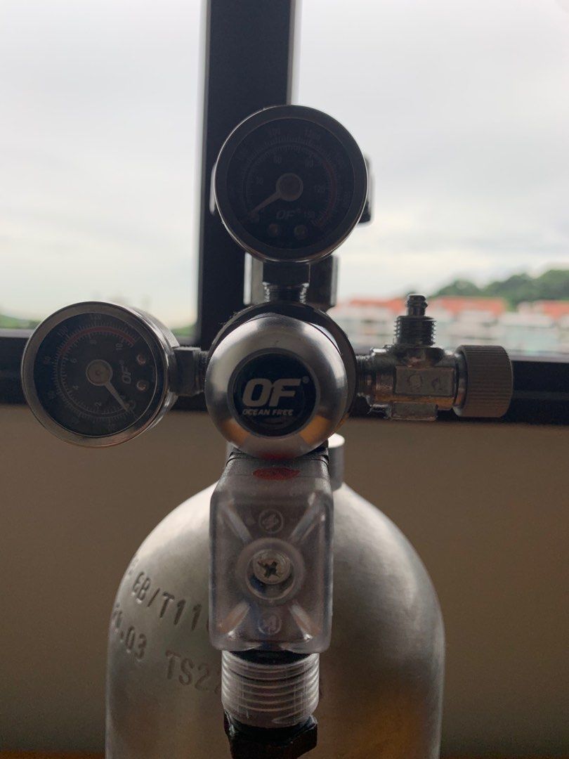 Aquarium CO2 Tank (Aqua Concept) w Ocean Free Regulator, Pet Supplies