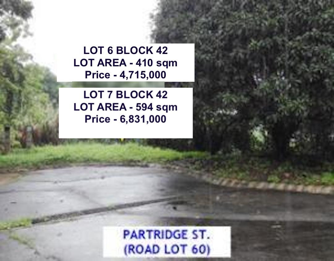 Bank foreclosed, Vacant Lot, Canyon Woods Residential Resort, Brgy. San