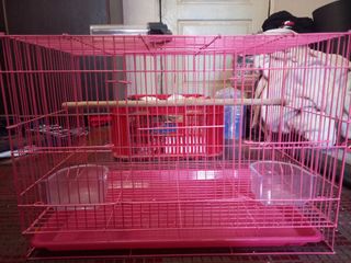 (Category: ) located in . Submitted by nabam77 (Listing ID 1194753369, Image 1). Description: .