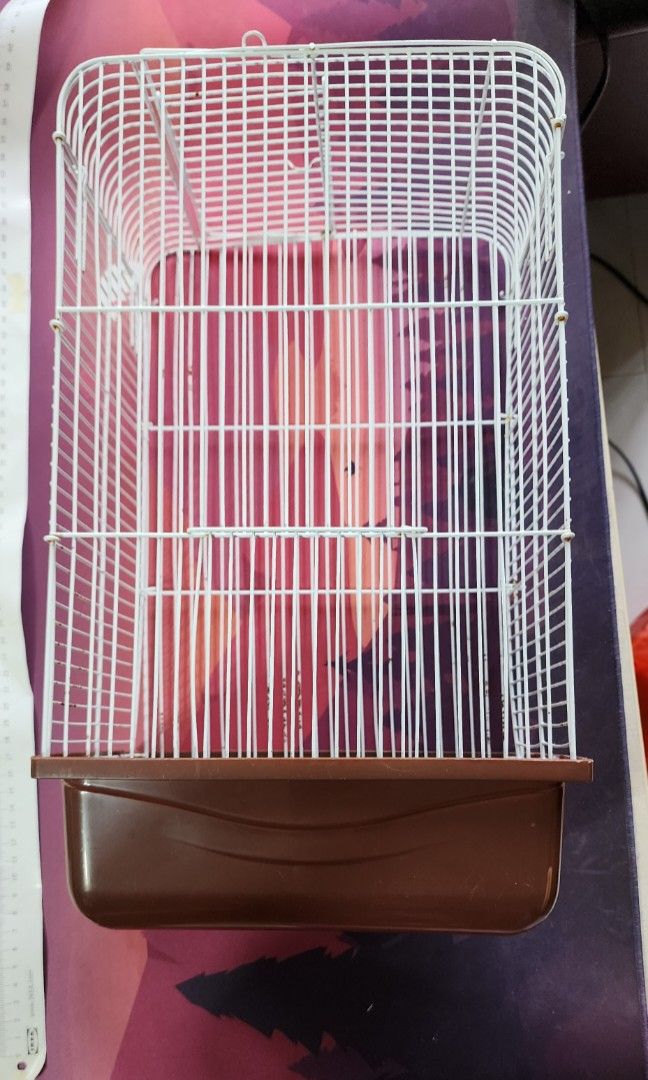 Bird cage, Pet Supplies, Homes & Other Pet Accessories on Carousell
