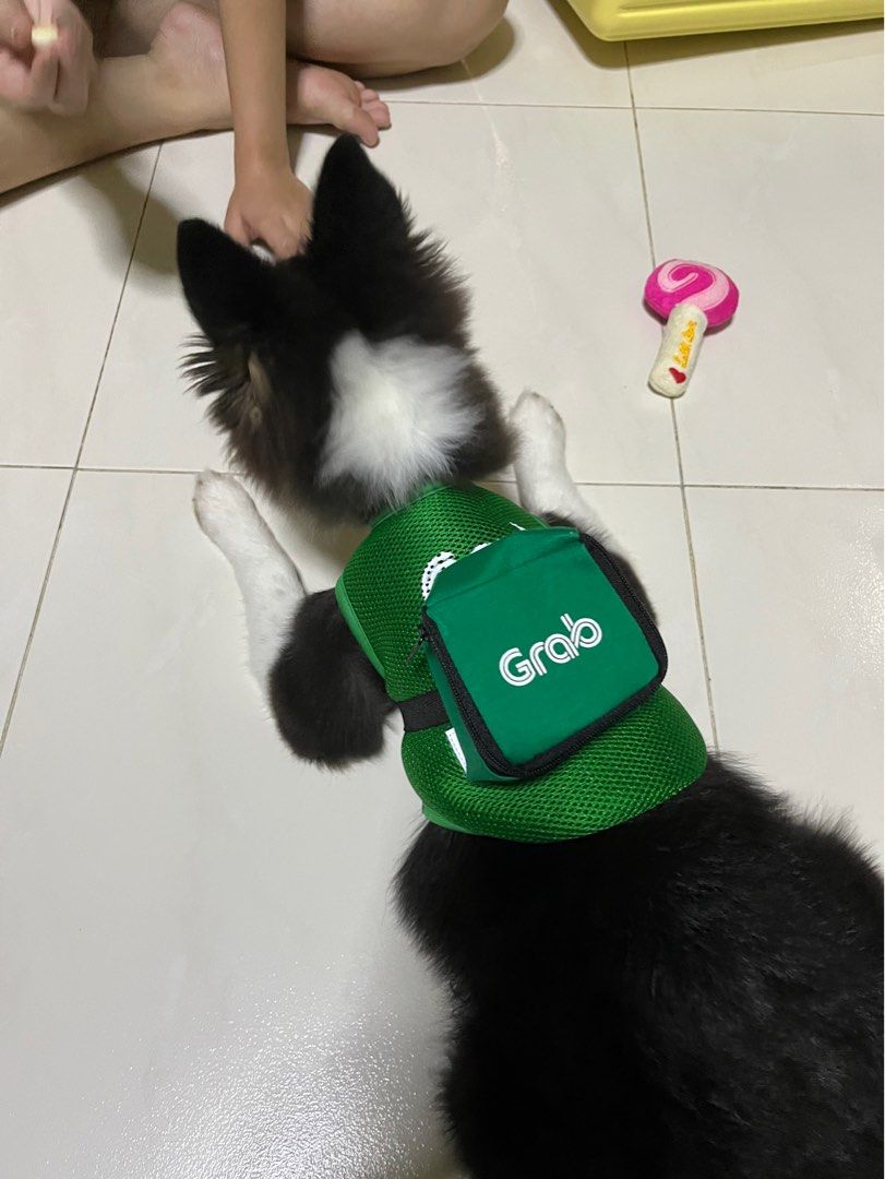 are dogs allowed in grab