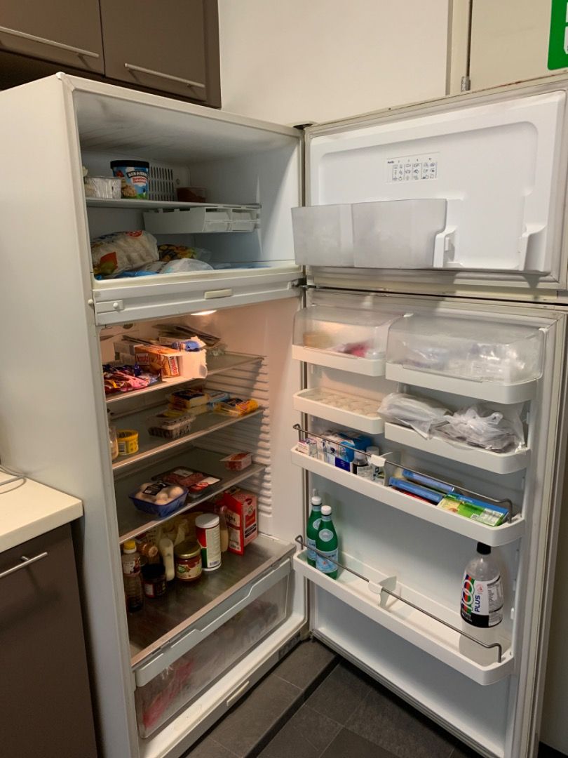 Fisher and Paykel Refrigerator, TV & Home Appliances, Kitchen