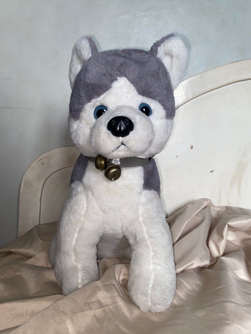 Husky Plush Toy, Hobbies & Toys, Toys & Games on Carousell