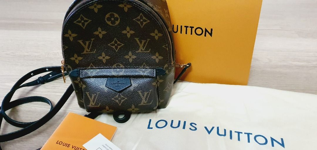 Louis Vuitton Palm Springs Mini backpack. Luxury Bags Wallets