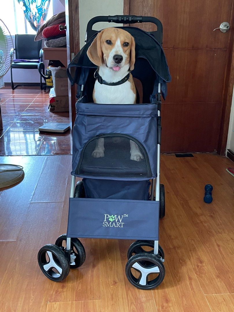 Pet stroller navy blue, Pet Supplies, Homes & Other Pet Accessories on