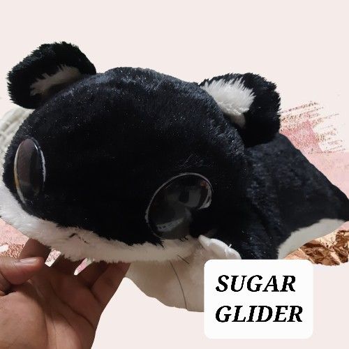 webkinz sugar glider