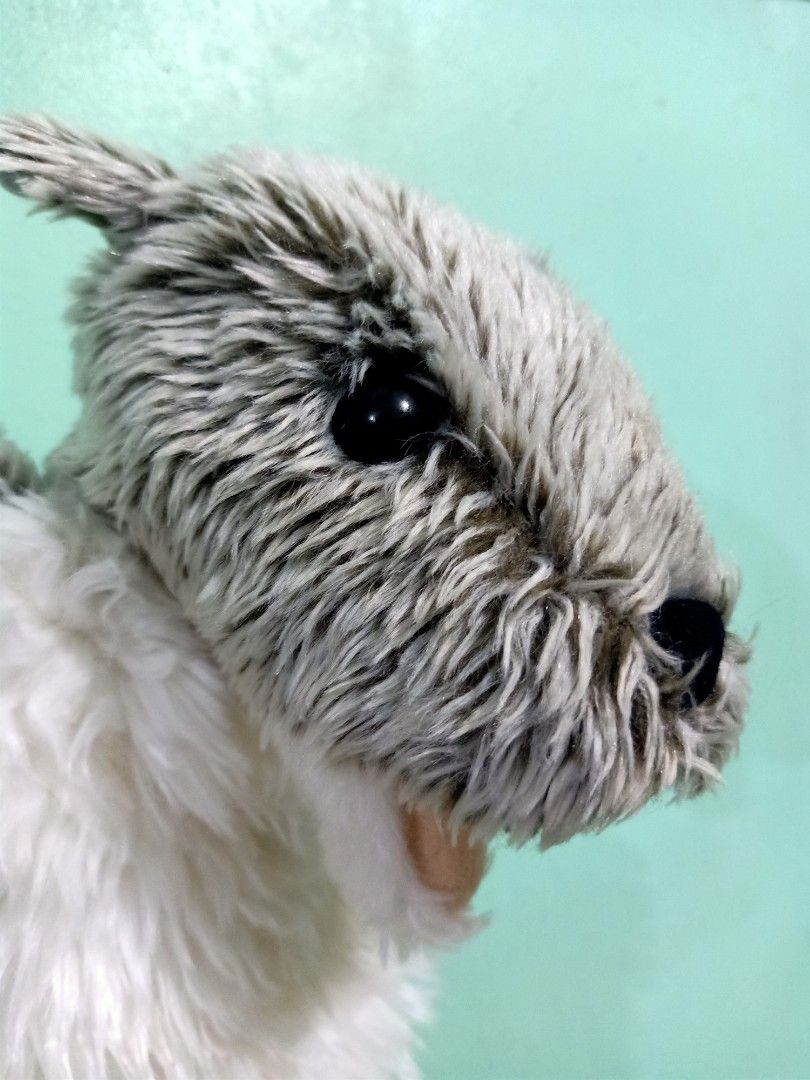 snuggle puppets squirrel