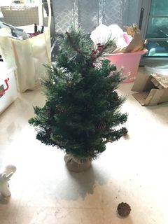 (Category: ) located in . Submitted by beec (Listing ID 1194760323, Image 1). Description: .