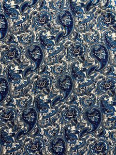 Textile #19: Fabric Paisley design