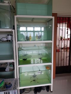 (Category: ) located in . Submitted by ken_huat (Listing ID 1195048942, Image 1). Description: .