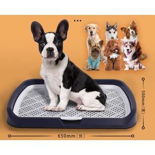 (Category: ) located in . Submitted by piggypets (Listing ID 1195143082, Image 1). Description: .