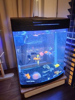 (Category: ) located in . Submitted by spencer9111 (Listing ID 1195110417, Image 1). Description: .