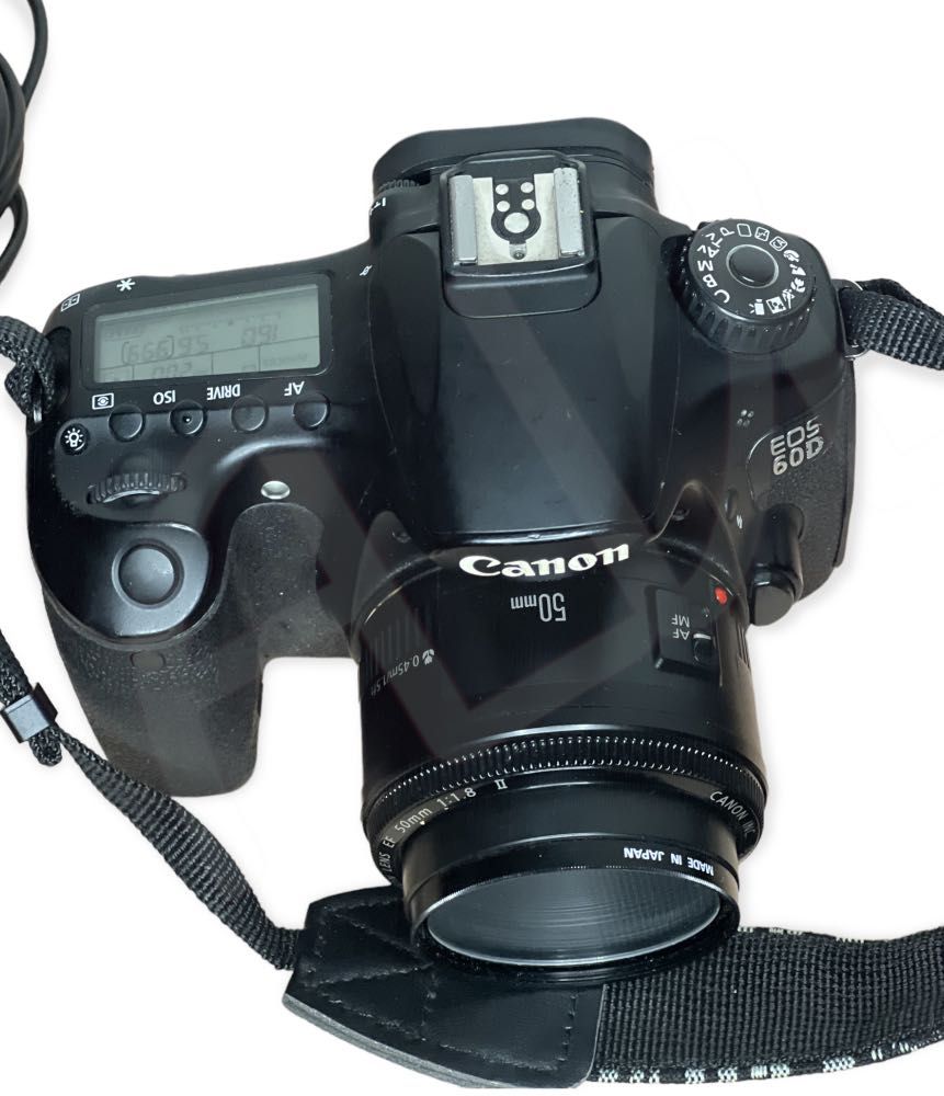 CANON 60D DSLR Flip Screen with Canon 50mm Portrait Lens, Photography