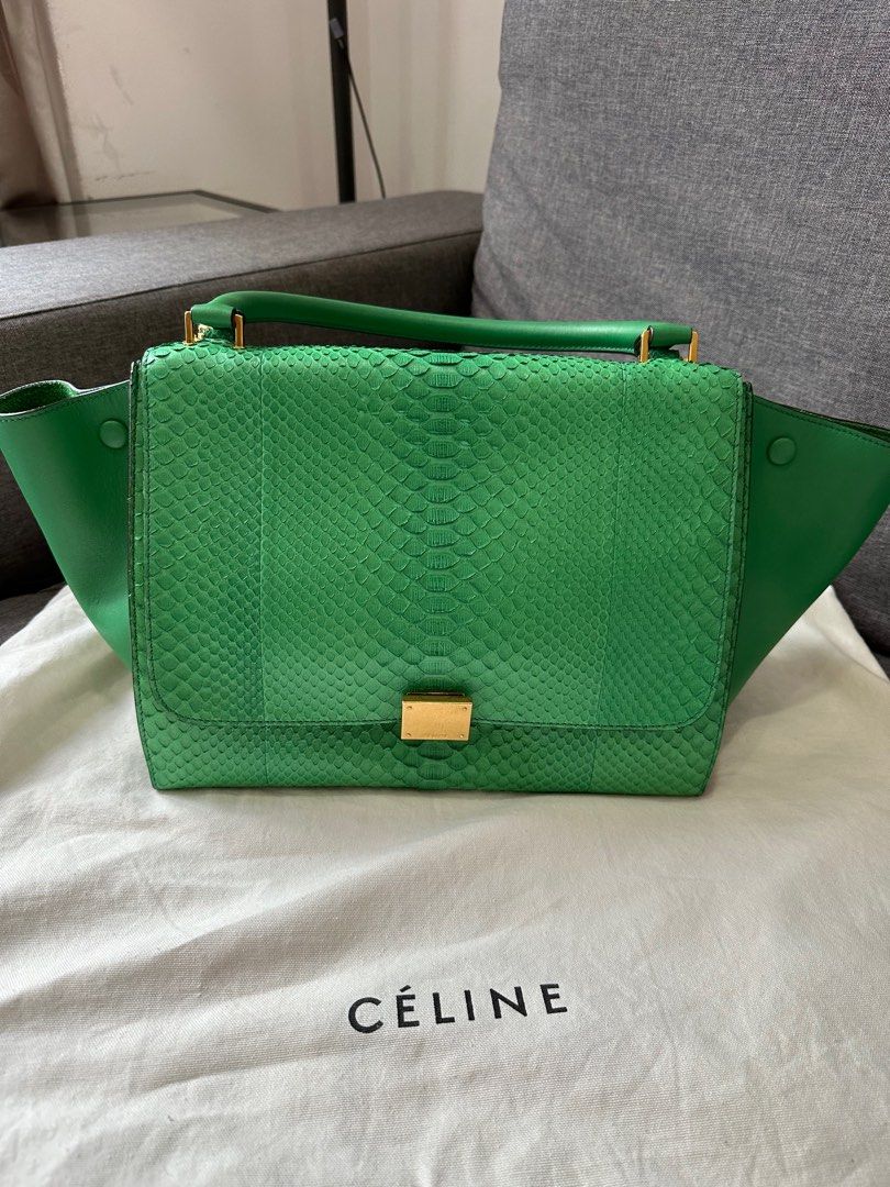 Celine Trapeze Full Leather Python And Calfskin, Luxury, Bags & Wallets On  Carousell