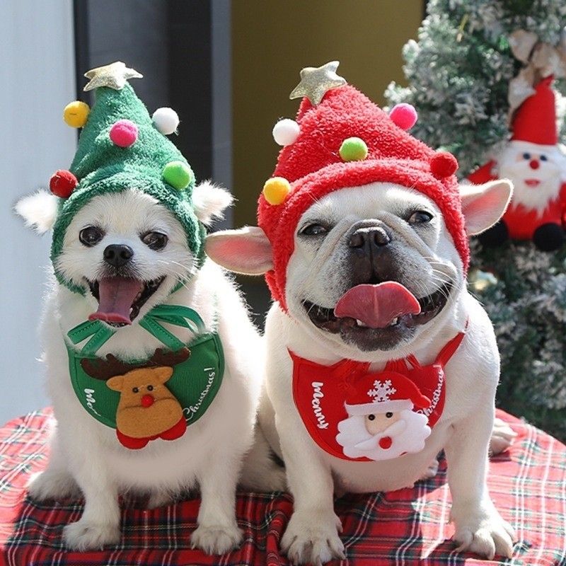 Dog christmas online elf costume
