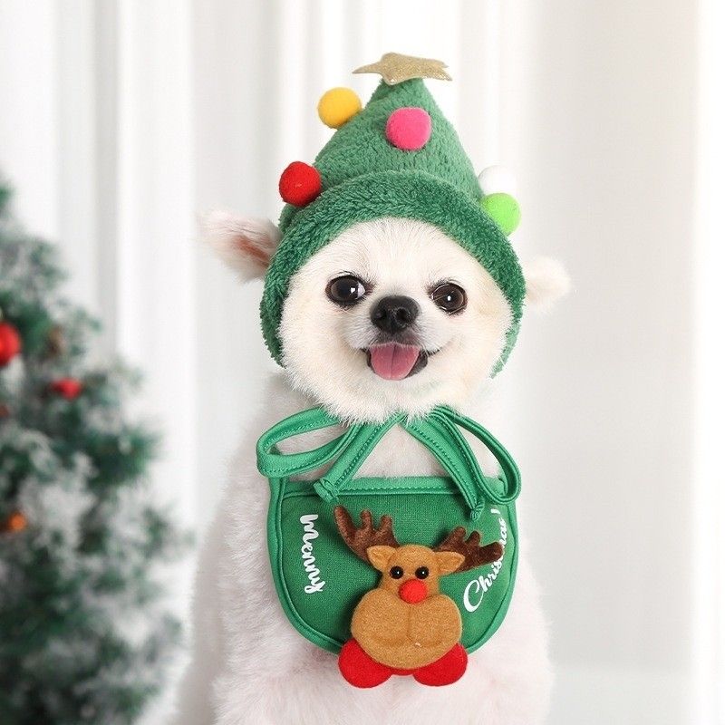 Elf outfit new arrivals for dog