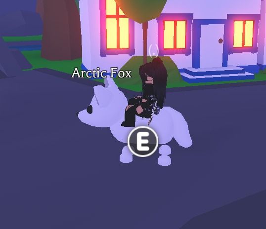 Fly Ride Arctic Fox | adopt me roblox, 電子遊戲, 遊戲機配件, 遊戲週邊商品 - Carousell