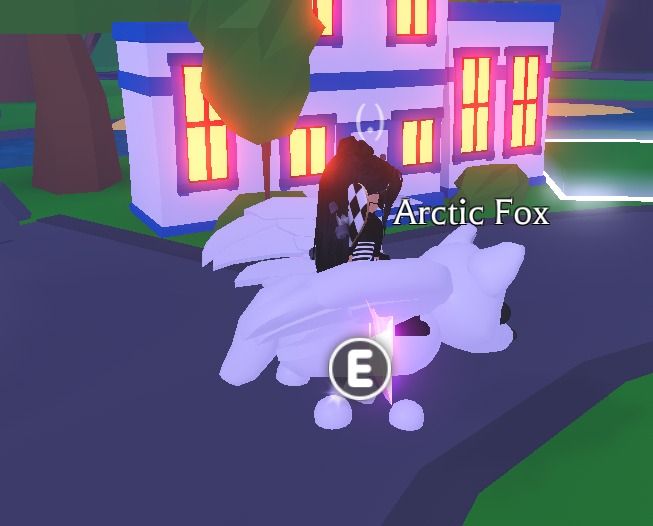 Fly Ride Arctic Fox | adopt me roblox, 電子遊戲, 遊戲機配件, 遊戲週邊商品 - Carousell