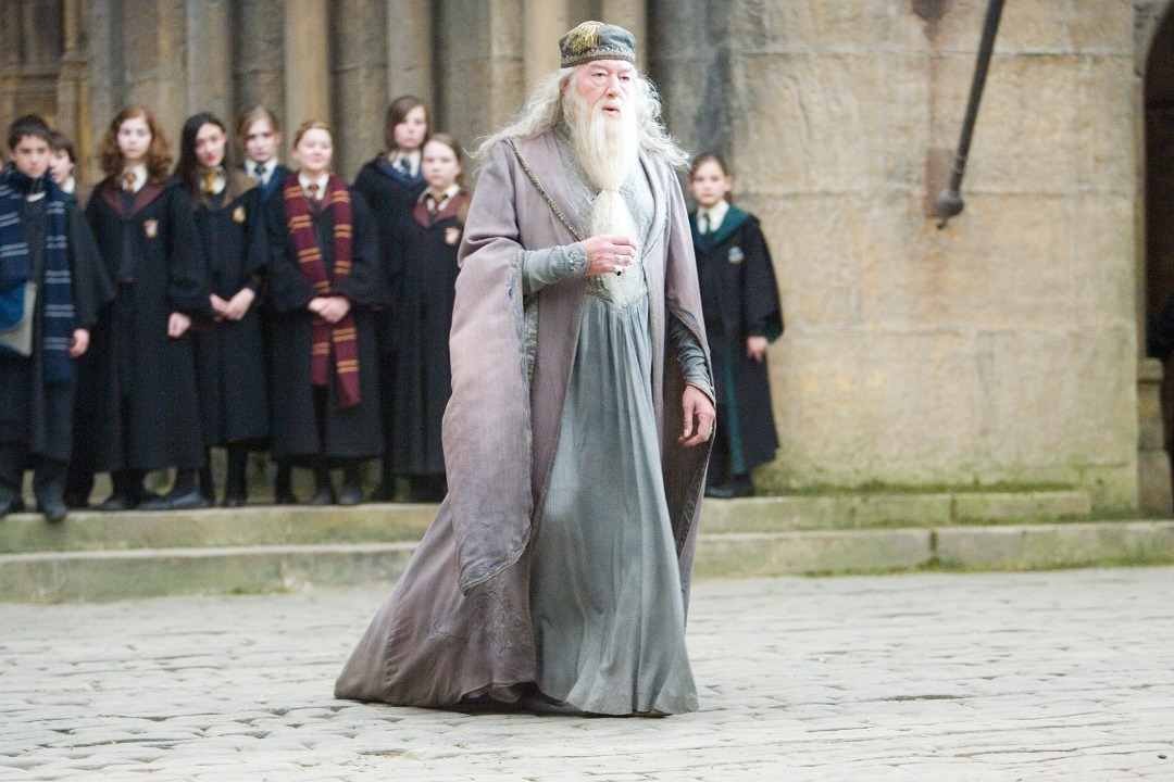 Harry Potter Dumbledore Costume Cosplay Gray 3 Piece Set, Men's Fashion ...