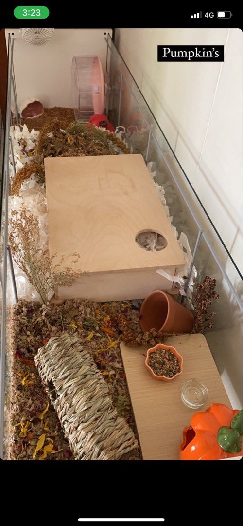 IKEA detolf hamster cage or shelf Furniture Home Living