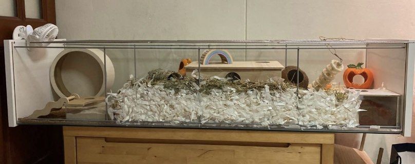 Hamster store cage detolf