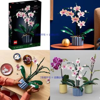 （分類：）位於 。 由 sugar_store 提交（商品編號 1194958806，圖片 1）。簡介： 。