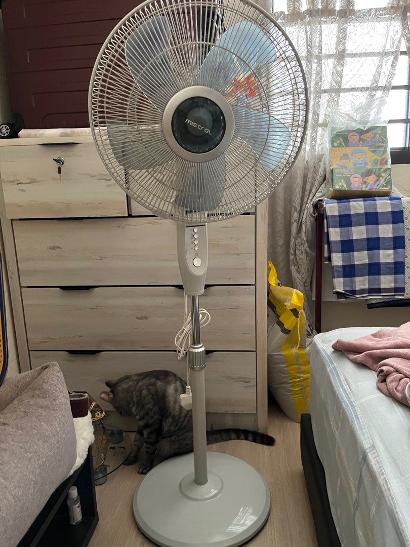 Mistral stand fan with remote, Furniture & Home Living, Lighting & Fans