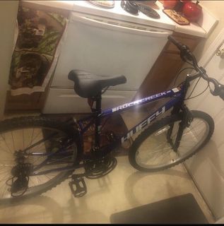 Mountain bike