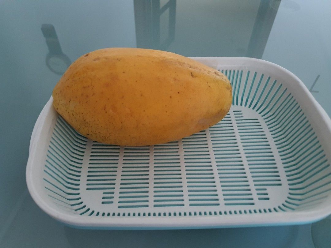 Organically grown dwarf papaya tree for sale, Furniture & Home Living