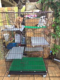 (Category: ) located in . Submitted by deenzr (Listing ID 1194972871, Image 1). Description: .