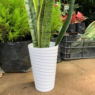 Tall Elegant Pots for indoor and outdoor plants (pot only)