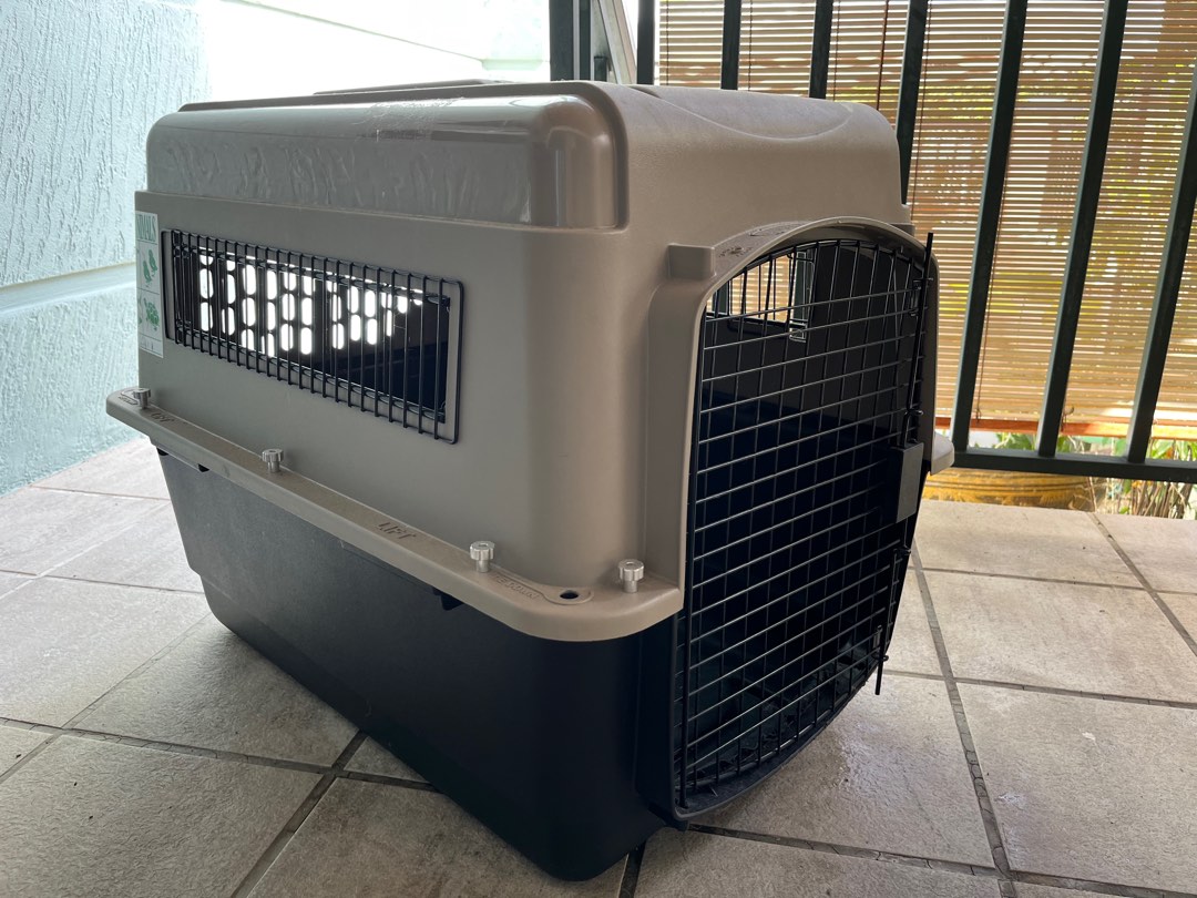 Used extra best sale large dog crate