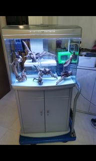 (Category: ) located in . Submitted by plkhoo (Listing ID 1195305203, Image 1). Description: .