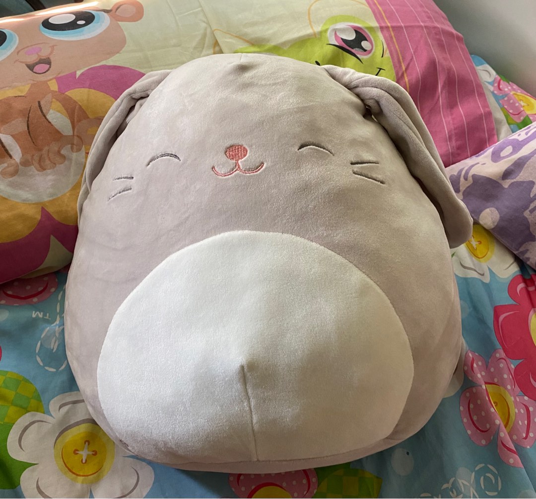 bunny squishmallow 12 inch, Hobbies & Toys, Toys & Games on Carousell