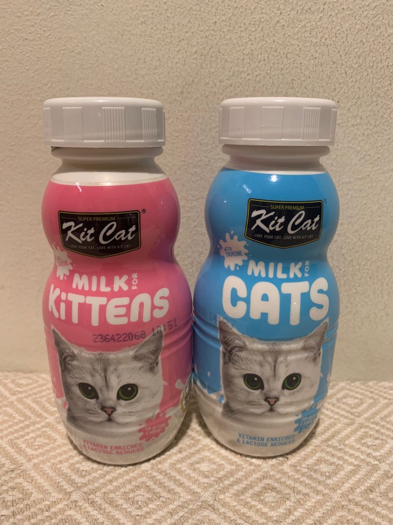 Carton Sale Kit Cat 100 Natural Milk 250ml Adult Kitten