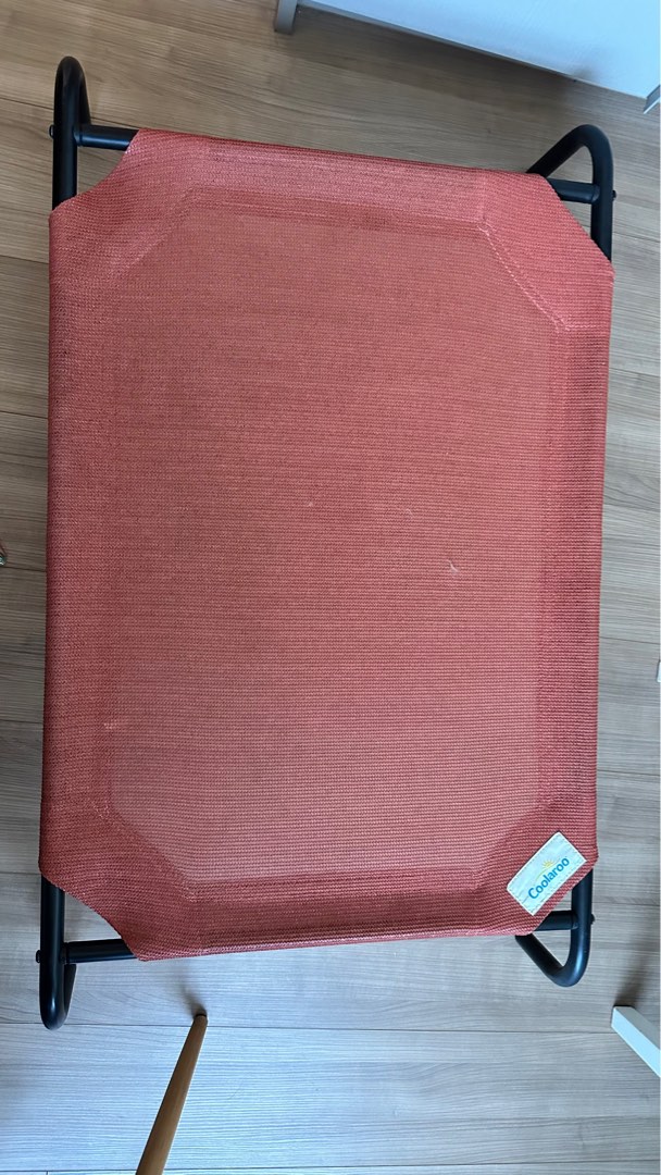 coolaroo-elevated-pet-bed-pet-supplies-homes-other-pet-accessories