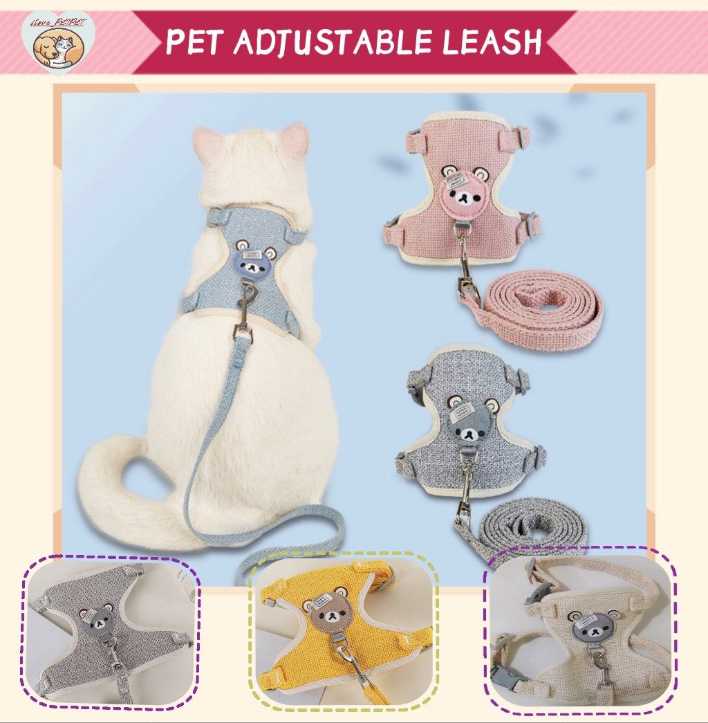 designer dog teddy bear