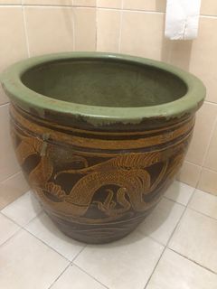 (Category: ) located in . Submitted by viopig (Listing ID 1195250172, Image 1). Description: .