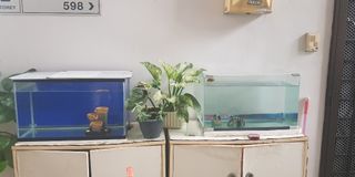 (Category: ) located in . Submitted by zoeira (Listing ID 1195369751, Image 1). Description: .