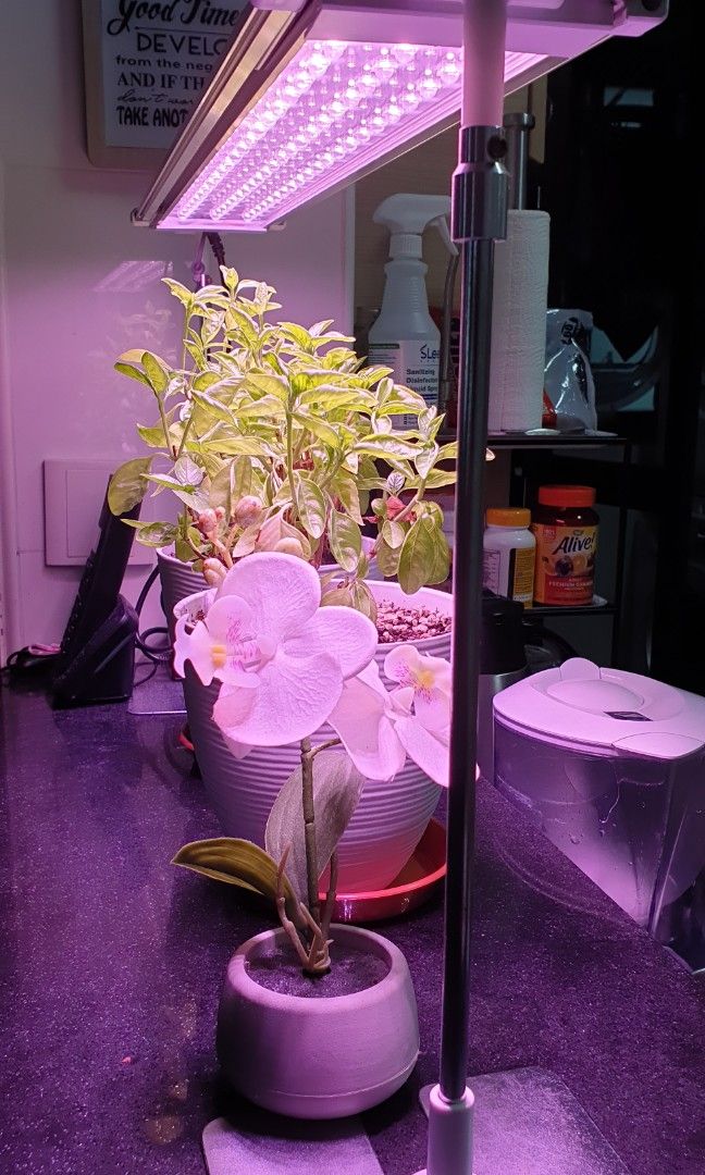 Wega grow light new arrivals