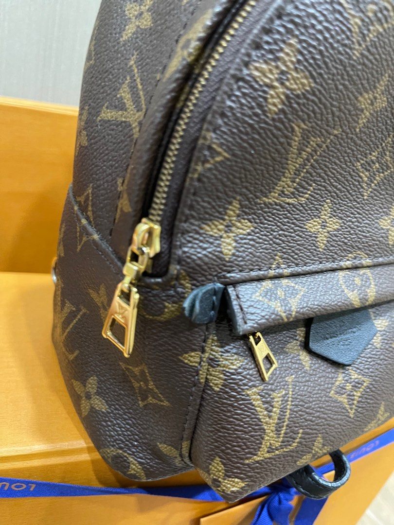 🔥BNIB🔥Louis Vuitton Palm Spring Mini Monogram & Reverse, Luxury, Bags &  Wallets on Carousell