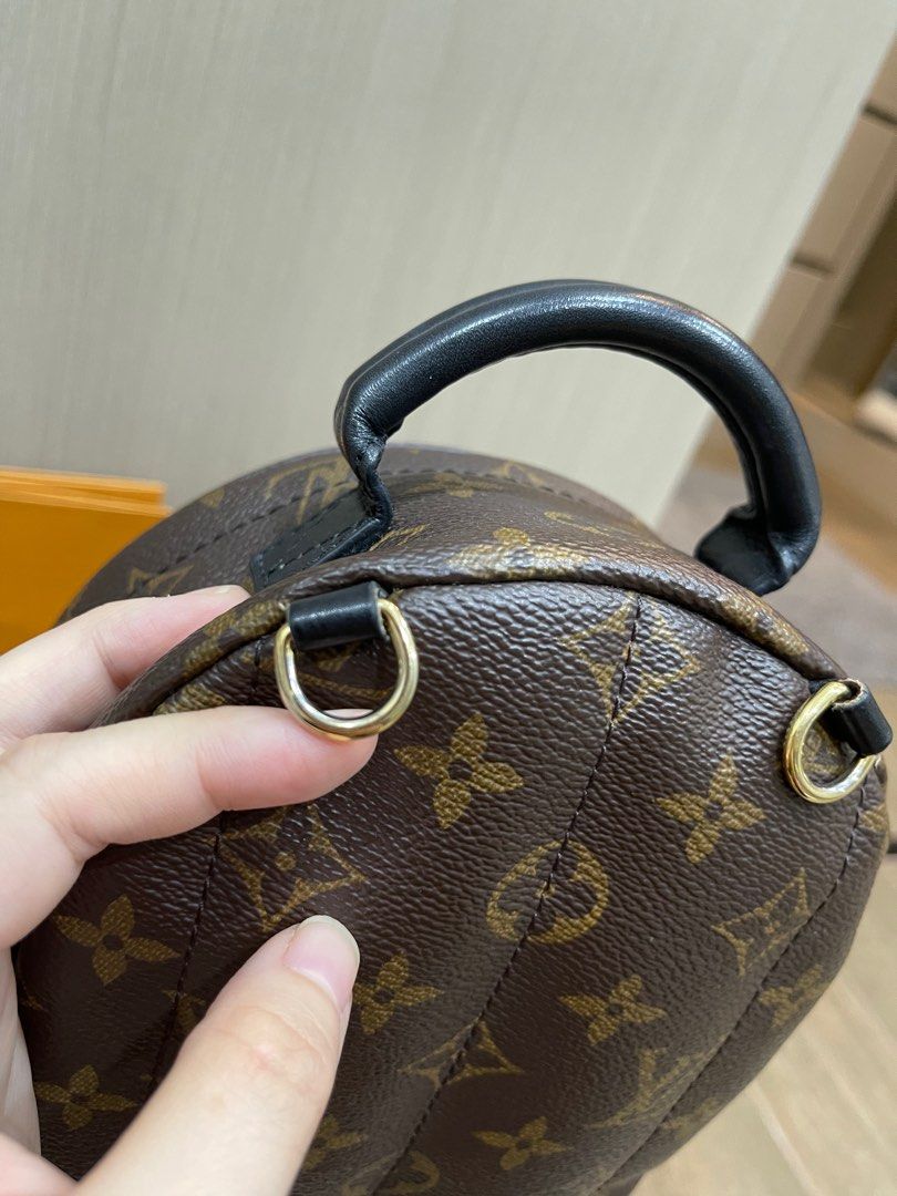 Louis Vuitton Ségur Bag 350017