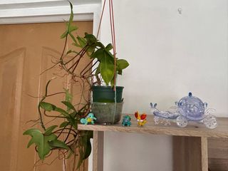 (Category: ) located in . Submitted by mooiyan (Listing ID 1195334015, Image 1). Description: .