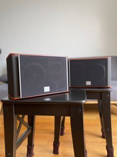 Premium JBL ES10C Surround Speakers