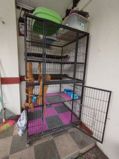 (Category: ) located in . Submitted by 1ninaboo (Listing ID 1195214642, Image 1). Description: .