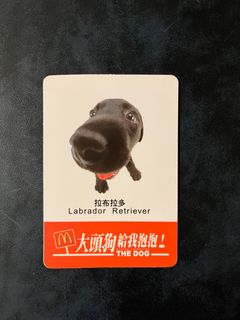 （分類：）位於 。 由 yoogii 提交（商品編號 1195582771，圖片 1）。簡介： 。