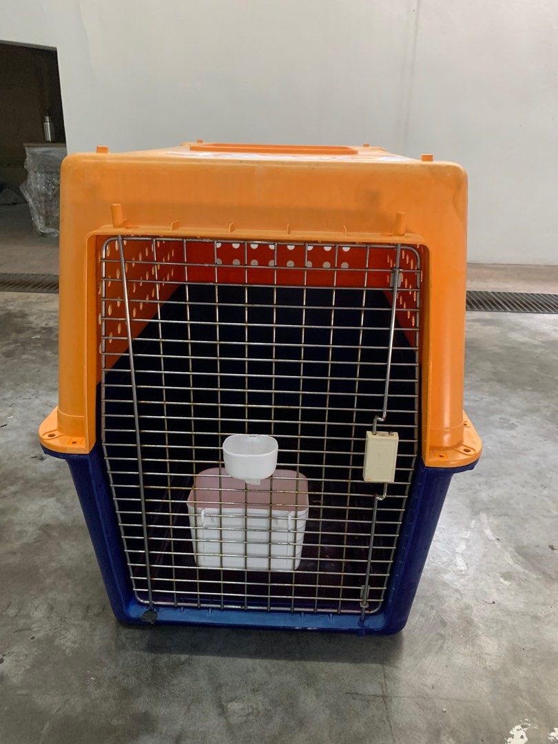 Pp50 dog 2024 crate