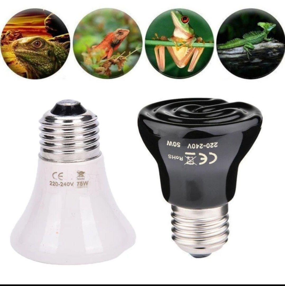 Photo inspiration: Gallery Detail: B2 25 100W Pet Reptile Breed Ceramic Heat Emitter Heater
